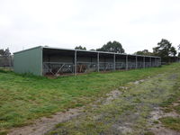 Animal, Calf, Livestock Shed with Gates - Jumbunna Engineering