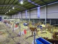 Calf Shed - Korumburra, South Gippsland - Jumbunna Engineering