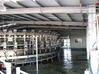 Cow Milking Shed - Jumbunna Engineering - Leongatha, South Gippsland