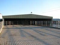 Cow Shed + Cow Yards - Jumbunna Engineering