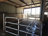 Cow Stock Yards Gates - Jumbunna Engineering