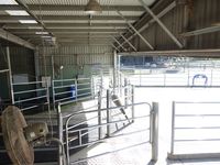 Cow Yards & Gates - Jumbunna Engineering