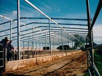 Feed Pad Roof - Jumbunna Engineering - South Gippsland