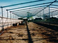 Feed Pad Roof - Jumbunna Engineering - South Gippsland