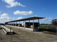 Feed Pad Roof, Leongatha - Jumbunna Engineering